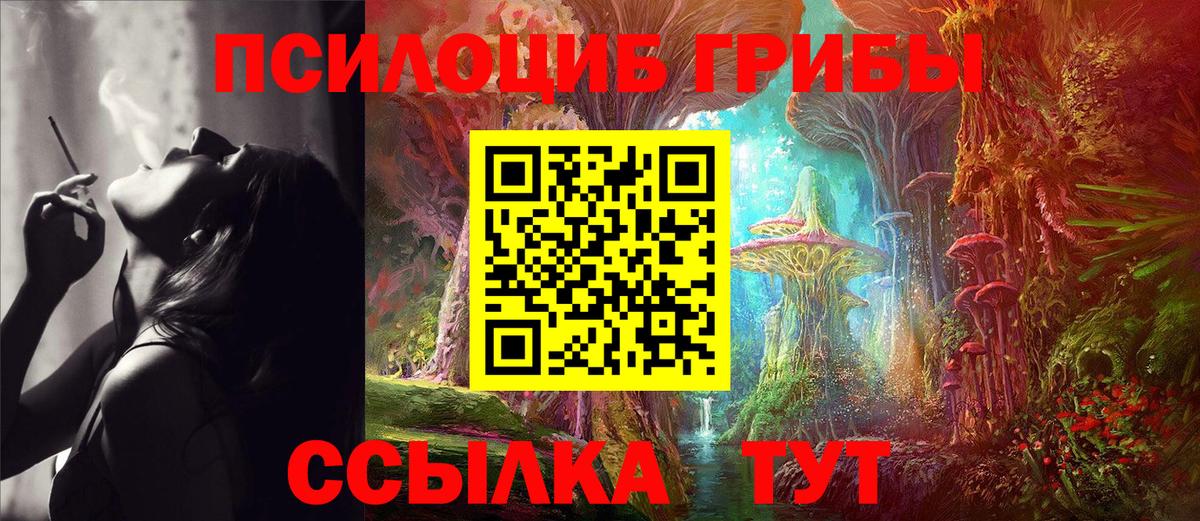Псилоцибиновые грибы GOLDEN TEACHER  Вход с VPN  Мирный  Псилоцибиновые грибы GOLDEN TEACHER 